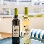 Bmyguest Terrace Apartamento